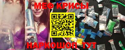 шишки Изобильный