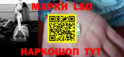шишки Изобильный