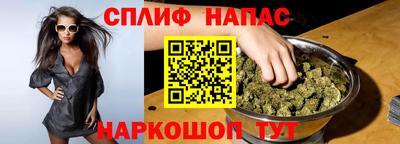шишки Изобильный