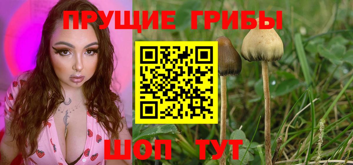 Галлюциногенные грибы ЛСД  Псилоцибиновые грибы MAGIC MUSHROOMS  Лесозаводск  Вход с VPN 